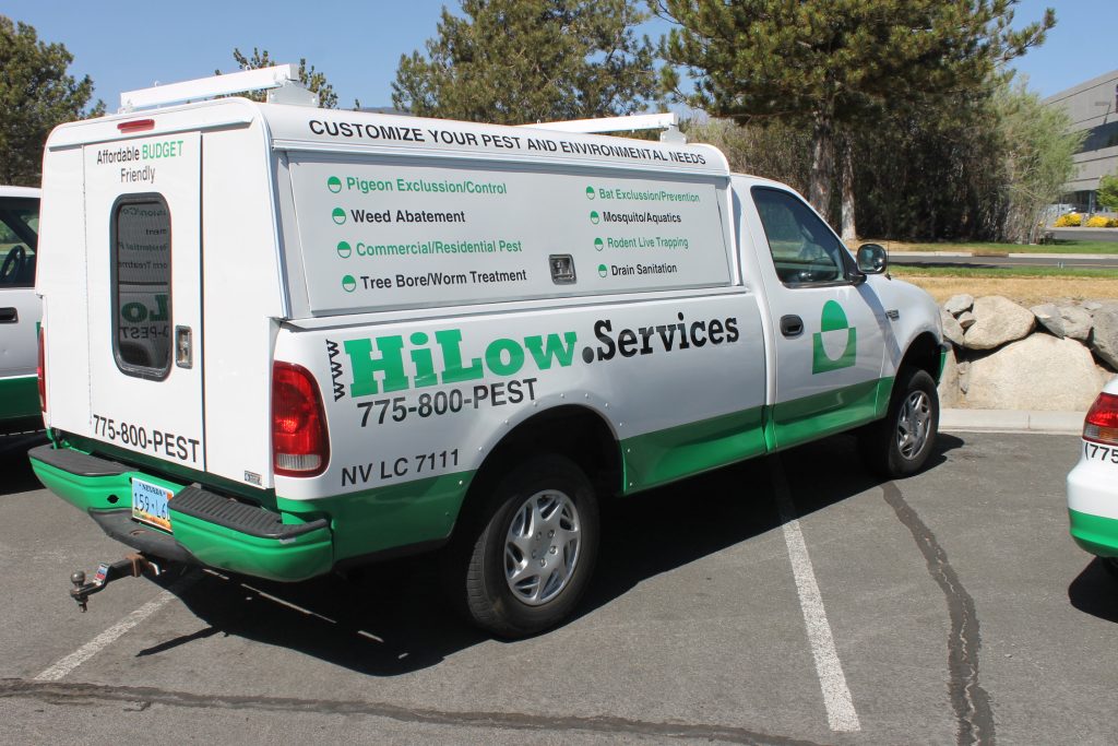 Rodent and Wildlife Control Dayton NV HiLow Pest Control