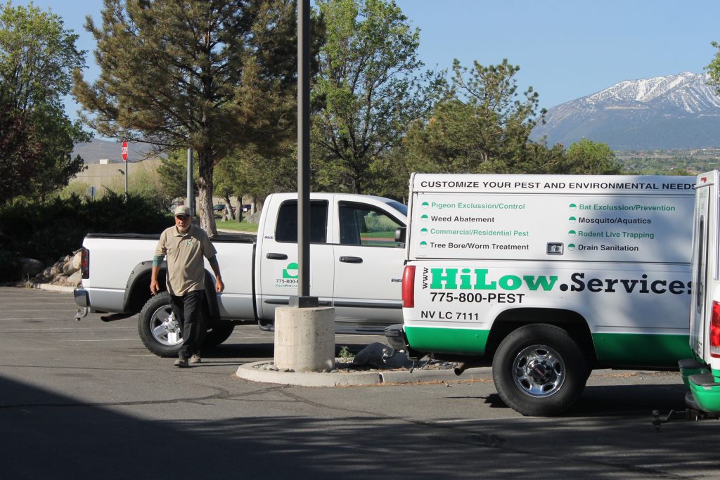 Rodent and Wildlife Control Fernley NV