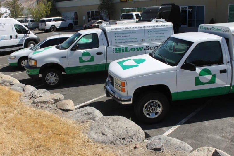 Rodent-and-Wildlife-Control-Sun-Valley-NV-1024×683