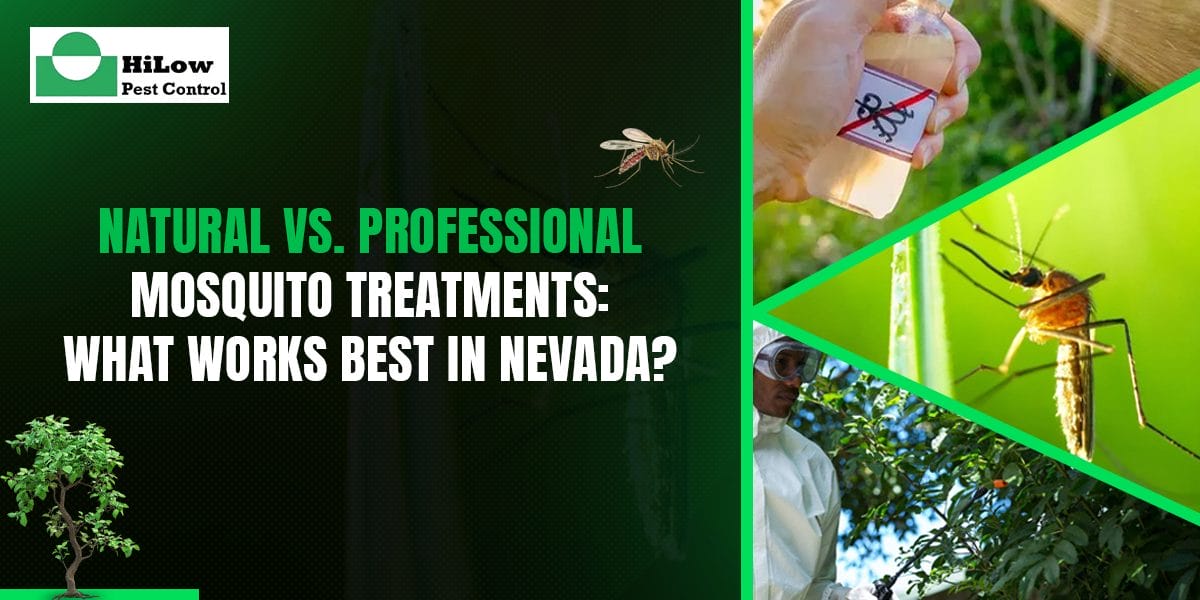 Natural vs. Professional Mosquito Treatments: What Works Best in Nevada?