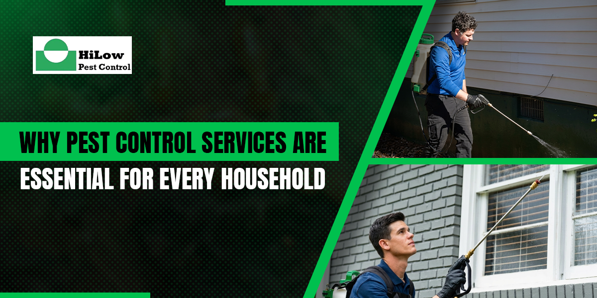 Why Pest Control Services Are Essential for Every Household