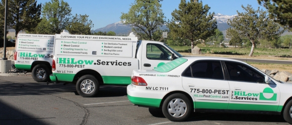 1 Two HiLow pest-control service vans parked in a lot, with green and white branding and phone number 775-800-PEST visible.