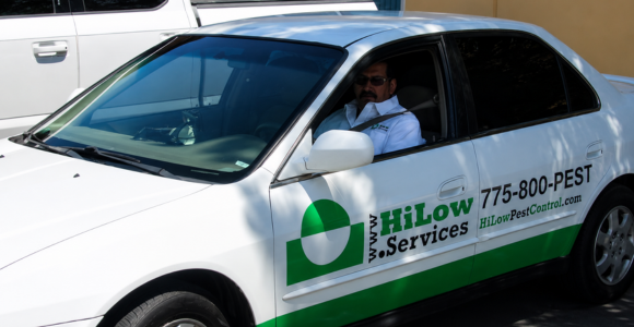 1 Two white-and-green HiLow pest control service vans parked in a lot, displaying the HiLow.Services branding and phone number 775-800-PEST. One van lists services on its side panel.