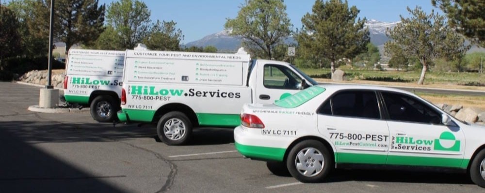 Two white and green pest control vans branded HiLow Services parked in a lot.