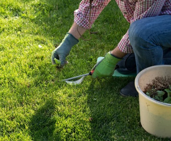 stock-photo-top-view-male-hand-safety-gloves-weeding-lawn-summer-time (1) Black plastic utility box with a white label, mounted on a paved surface against a light wall.