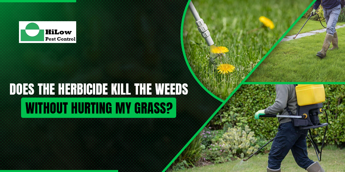 Does the Herbicide Kill the Weeds Without Hurting My Grass herbicide weed killer