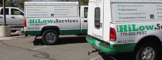 Rodent-and-Wildlife-Control-Reno-NV-1536x1024-1-980x654-1-1 (2) (1)