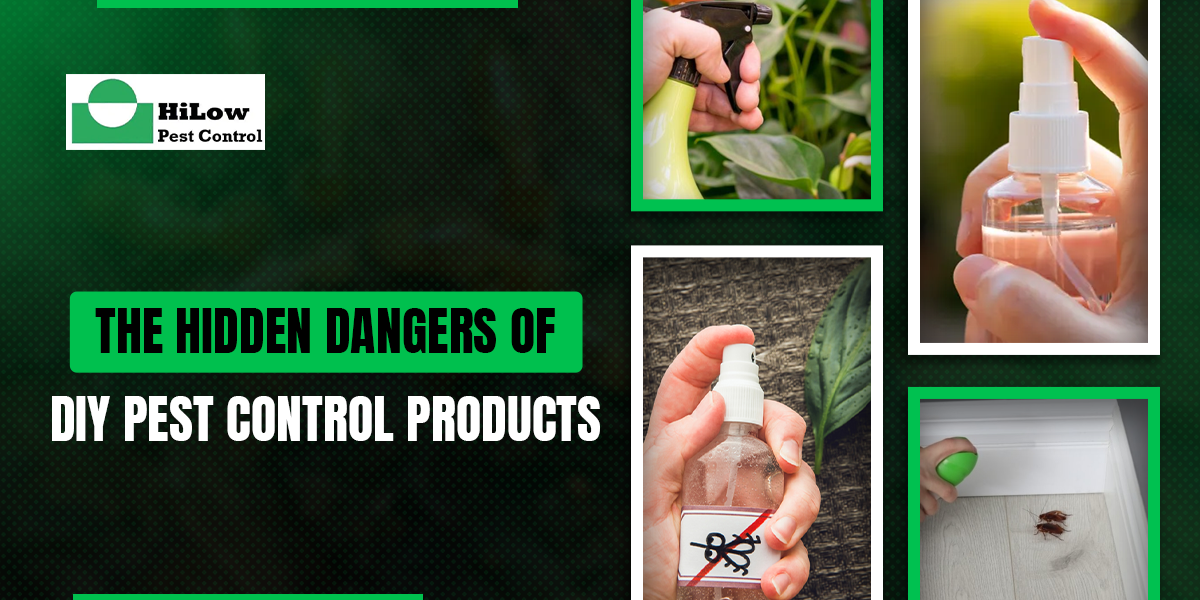DIY pest control dangers