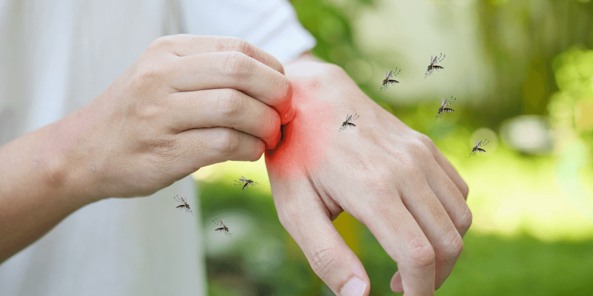 Why Are Mosquitoes Worse in 2026? What Homeowners Need to Know 2