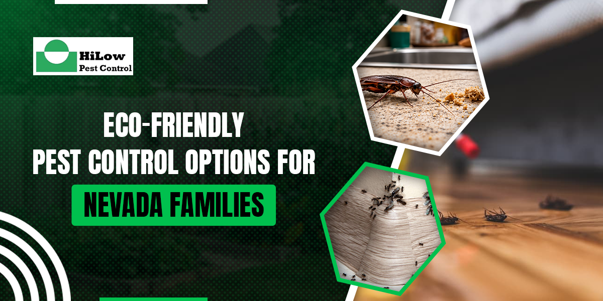 Blog 1 Eco-Friendly Pest Control Options for Nevada Families